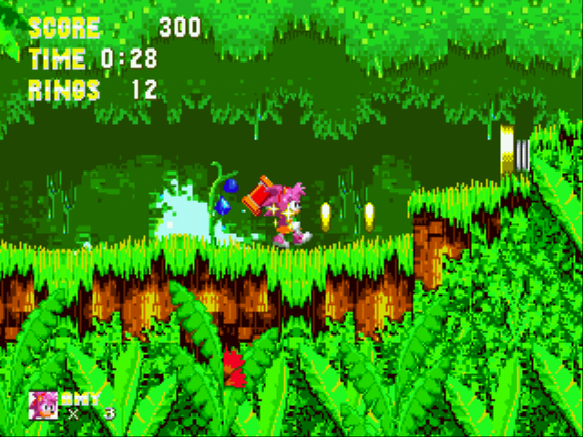 Sonic 3 & Amy Rose